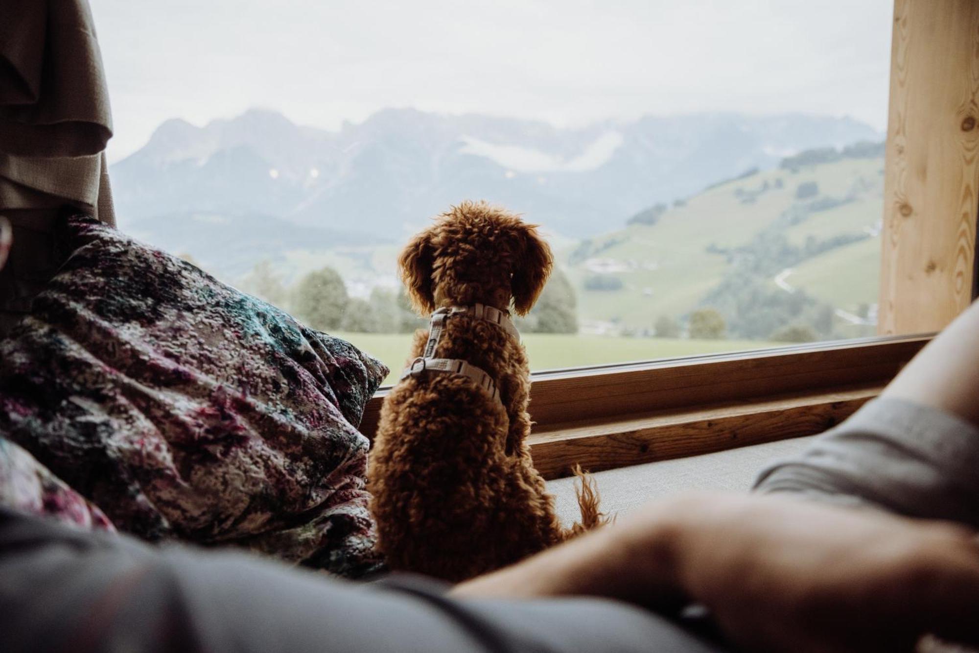 Biohof Ebengut Aparthotel Maria Alm am Steinernen Meer Luaran gambar