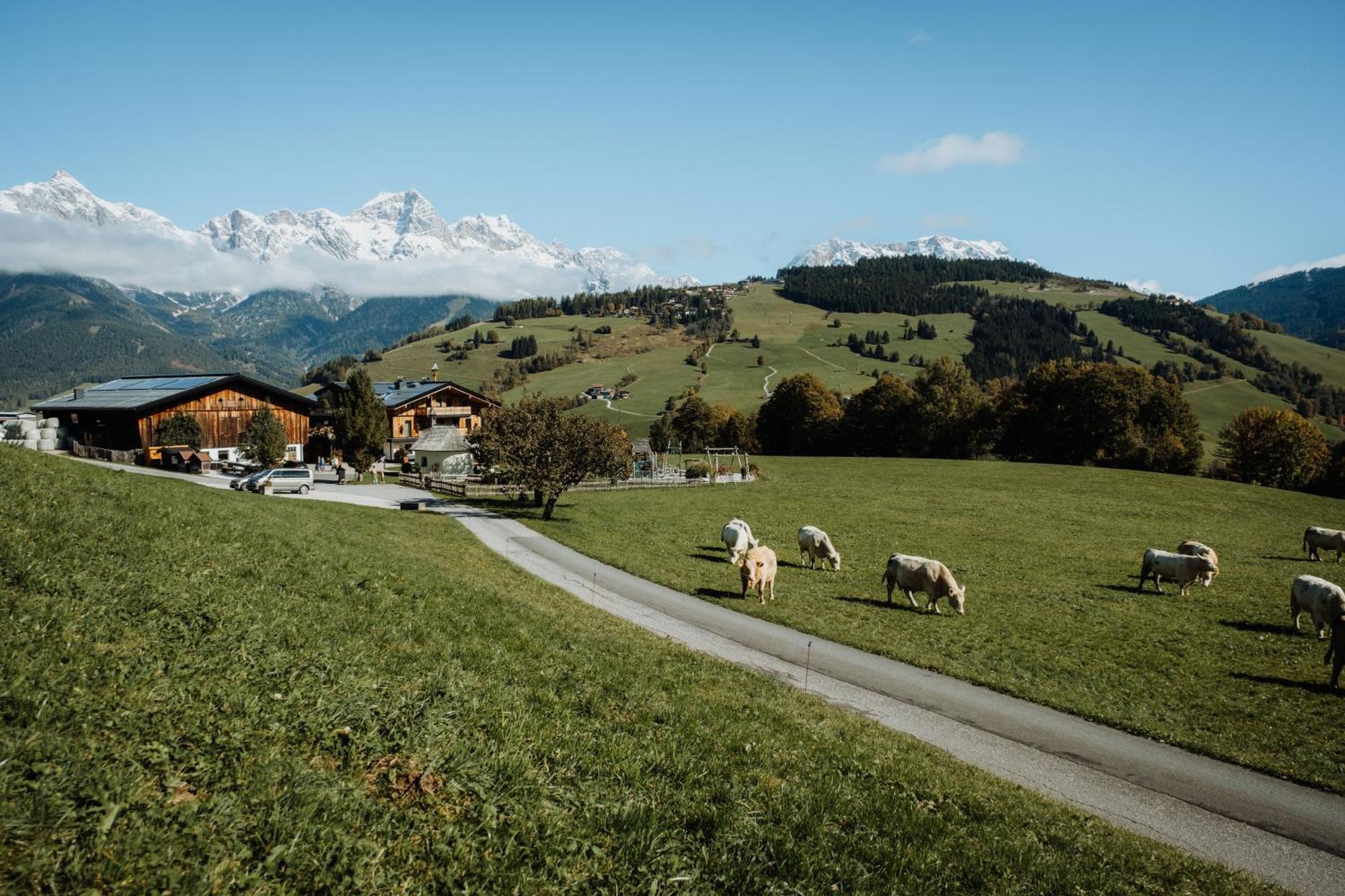 Biohof Ebengut Aparthotel Maria Alm am Steinernen Meer Luaran gambar