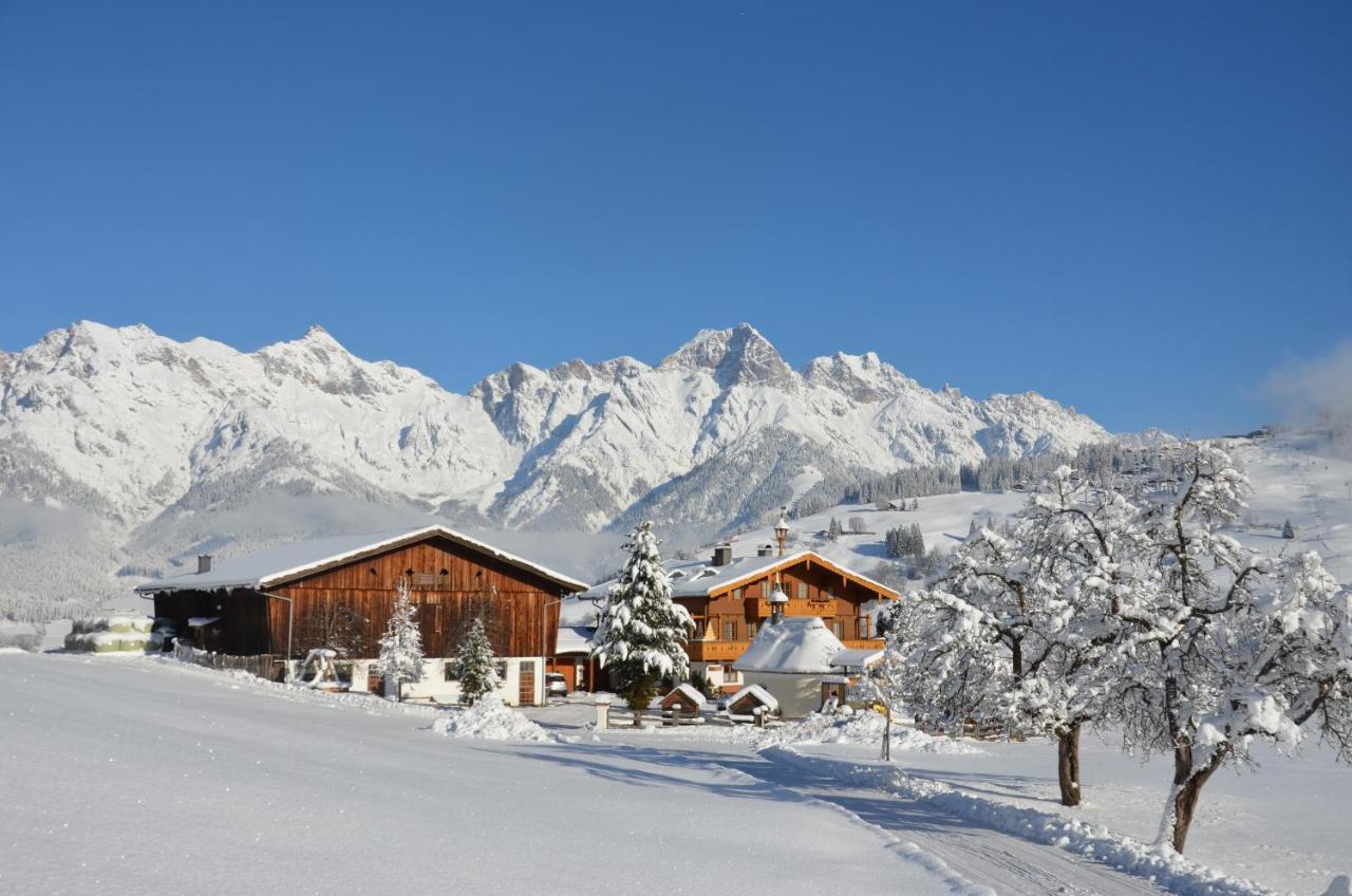 Biohof Ebengut Aparthotel Maria Alm am Steinernen Meer Luaran gambar